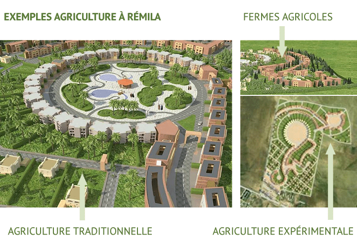 Programme Du Projet Village Ecologique Ines Y Iles Remila Algerie